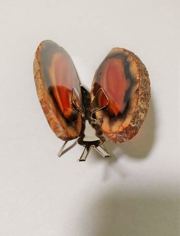 Stones from Uruguay - Red Agate Slice Butterfly (#0)