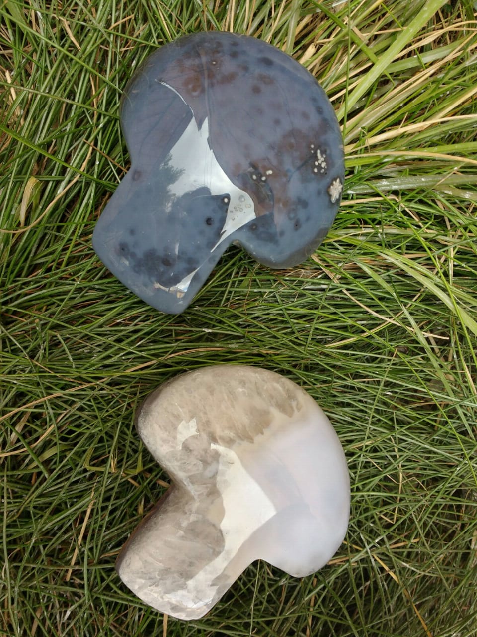 Stones from Uruguay - Natural Agate Mushroom Cabochon, Mushroom Shaped Mushroom