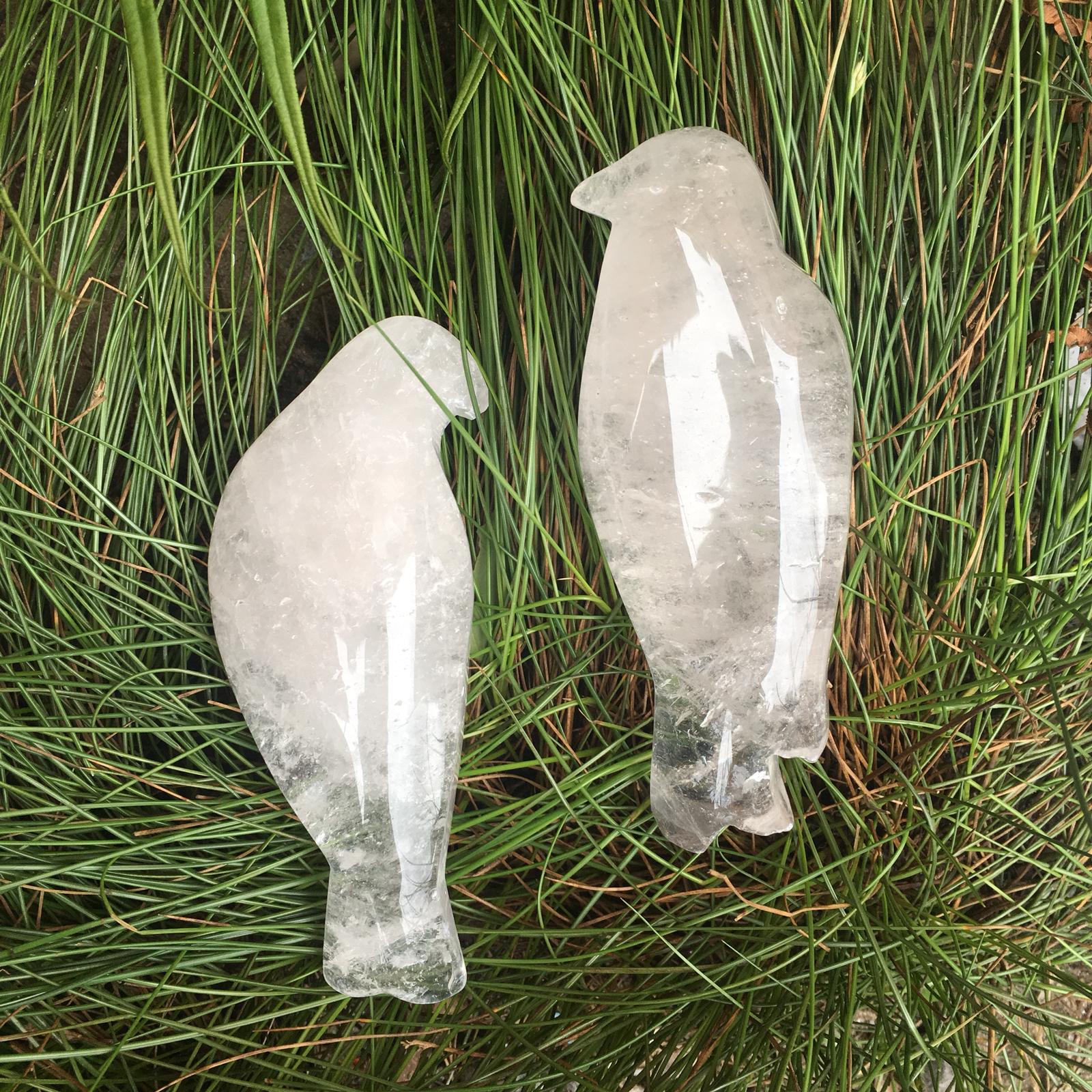 Stones from Uruguay - Clear Quartz Bird Cabochon