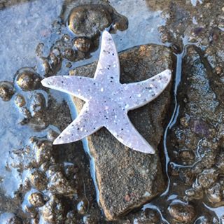 Stones from Uruguay - Druzy Seastar  for Jewelry Making - Druzy Starfish Shaped Cabochon -  Wire Wrapped Jewelry