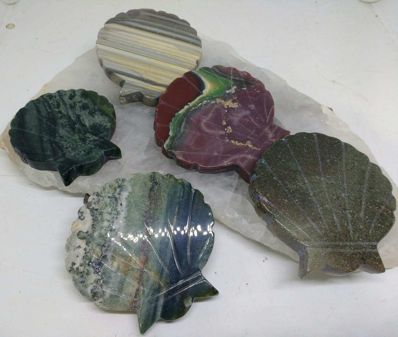 Stones from Uruguay - Jasper Shell Shapes