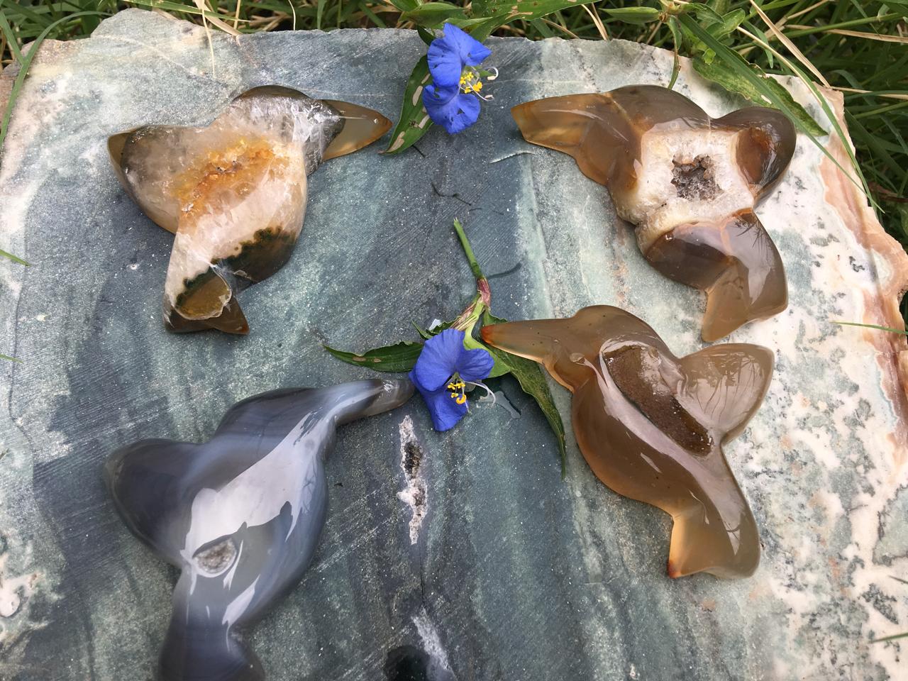 Stones from Uruguay - Agate Geode Druze Hummingbird Cabochons with Convex Top