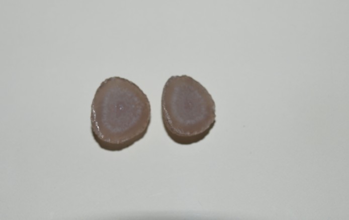 Stones from Uruguay - Half Round Mini Agate